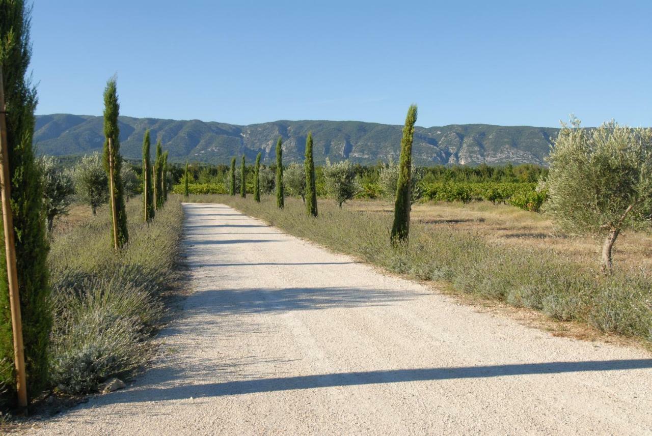 Clos De La Fontaine Cabrières-dʼAvignon Extérieur photo